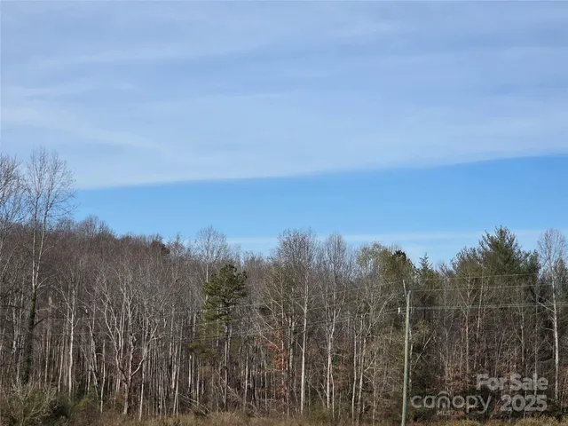 a view of a city with lots of trees in the background