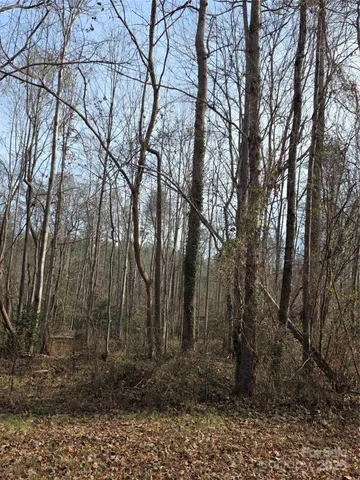a view of a backyard of the house