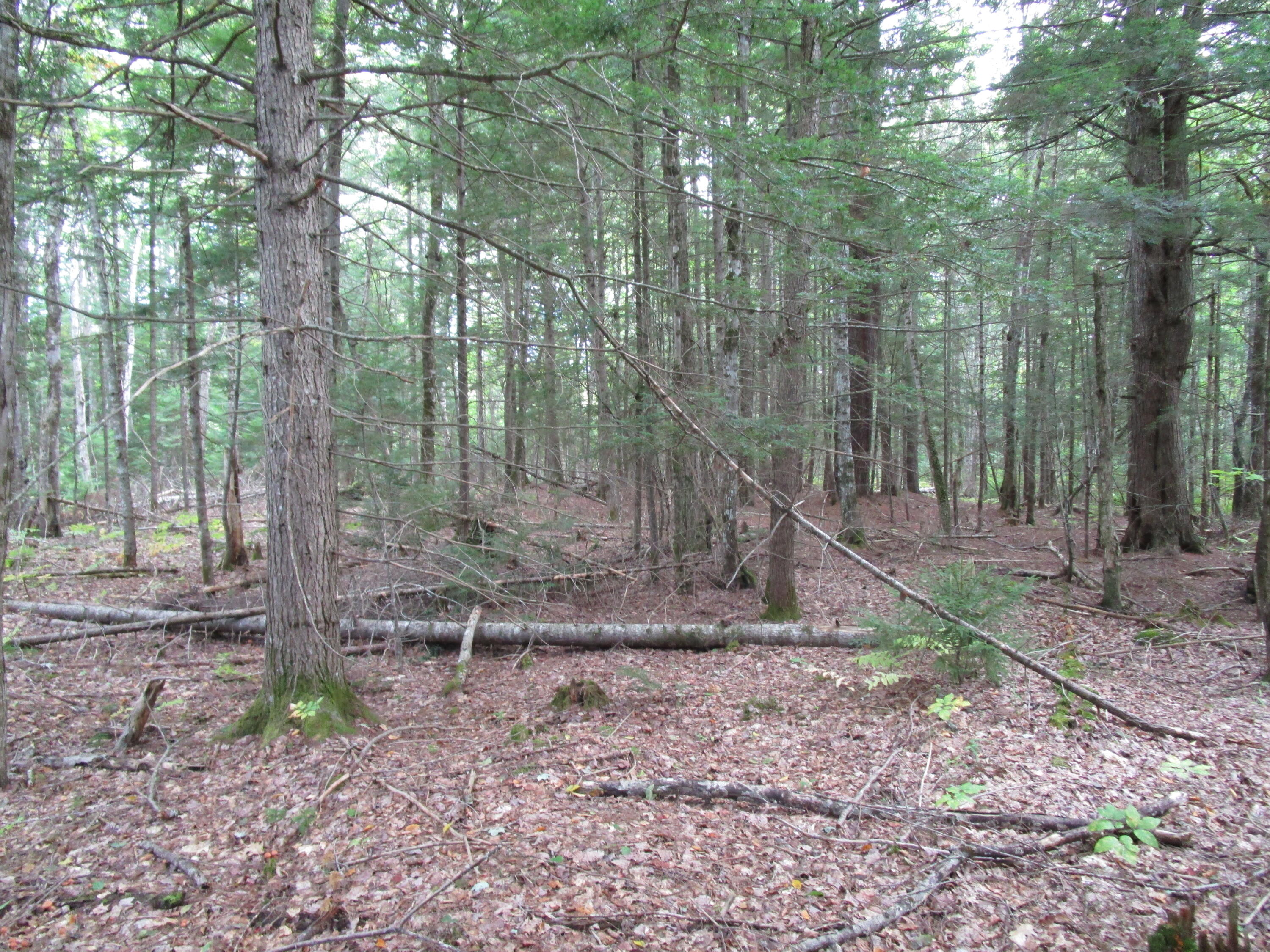 2 North Howland Road Northwest Howland, ME 04448 - Photo 7 of 7 IMG_1370
