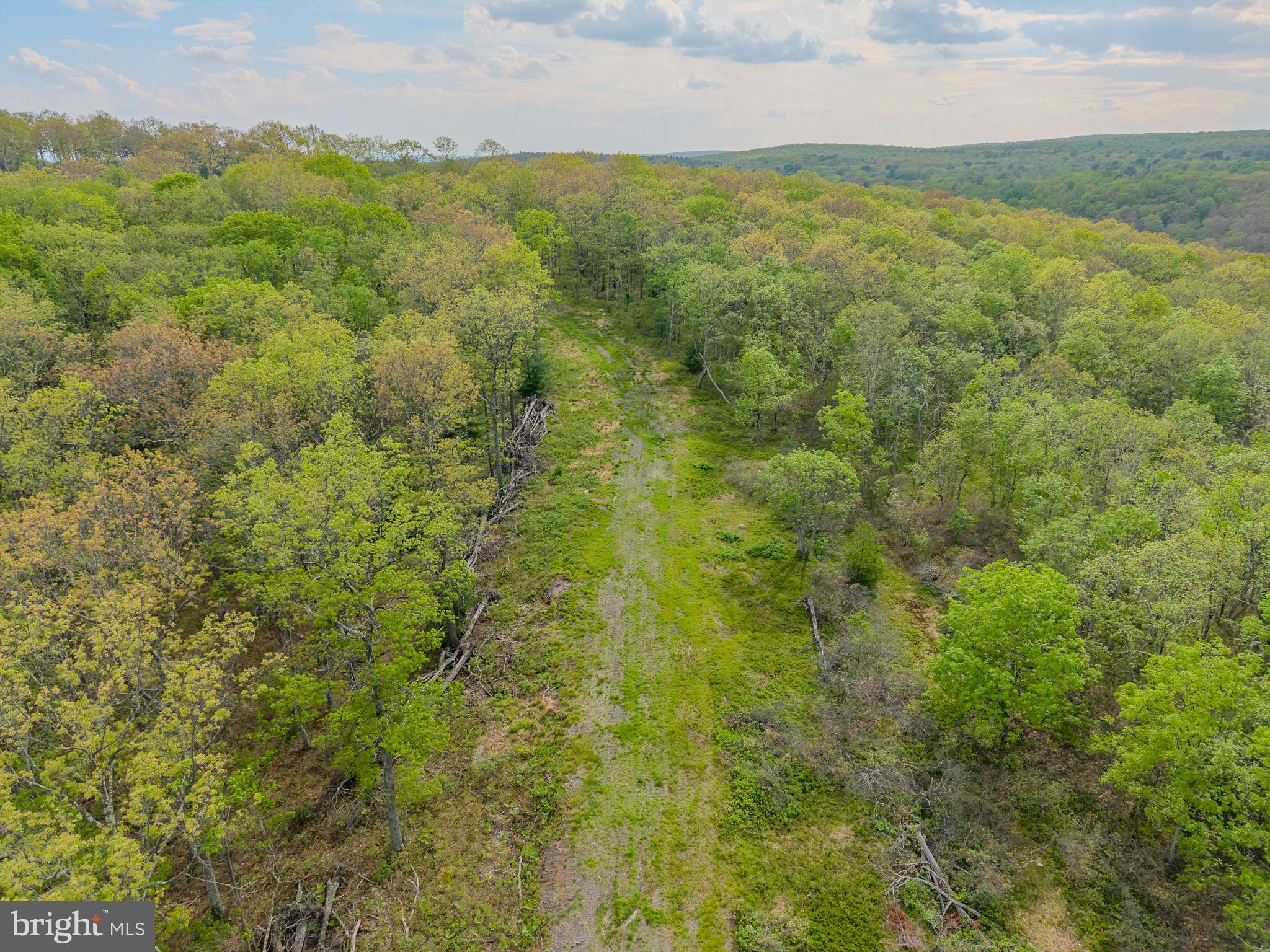 0 Cummins Hill Road Matamoras, PA 18336 - Photo 36 of 116