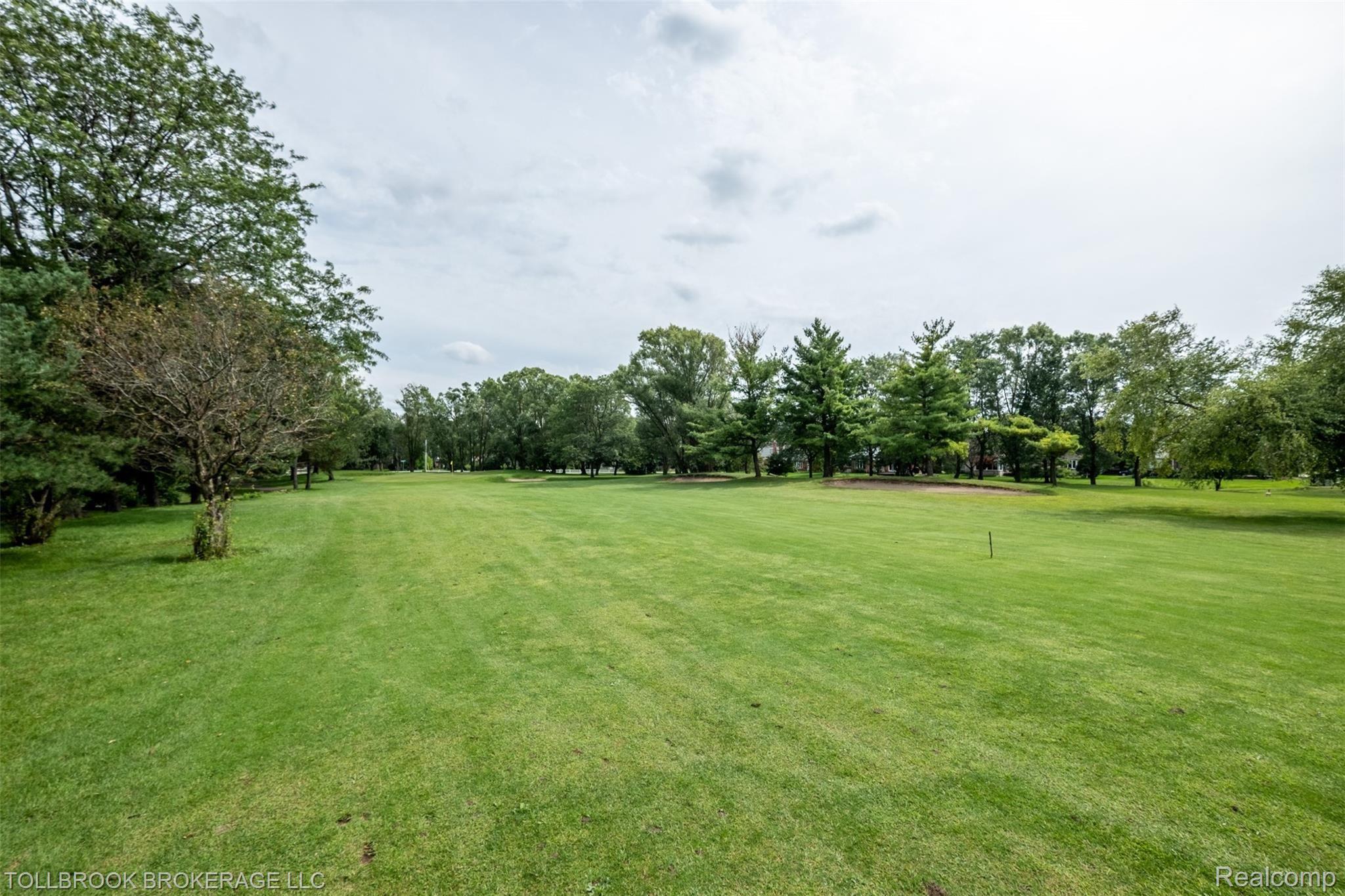 856 Lion Street Rochester, MI 48307 - Photo 39 of 39 856 Lion-44.jpg