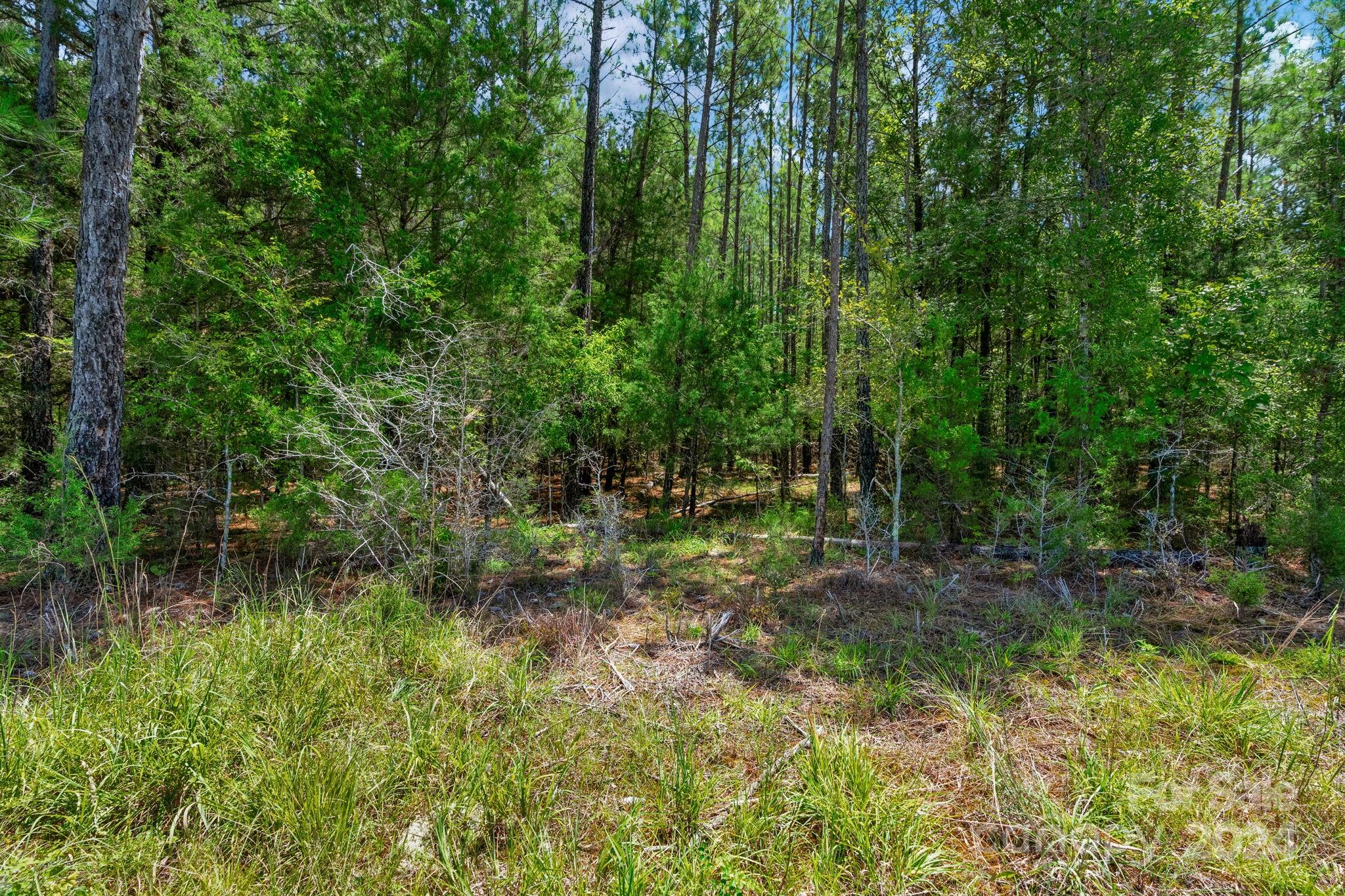 0 William Martin Road, Unit 4 Richburg, SC 29729 - Photo 34 of 34 Gallery Image 34