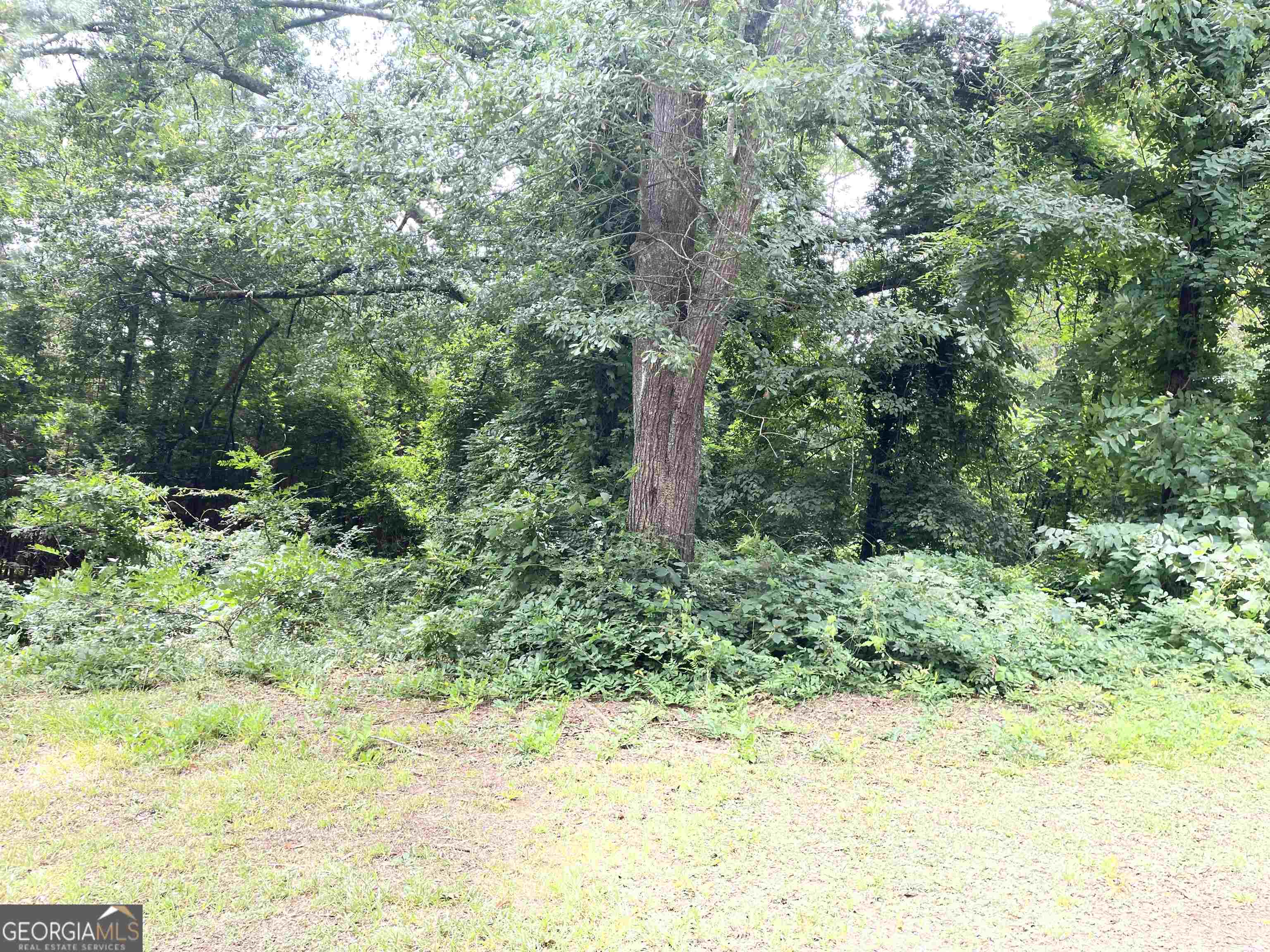 120 Bruce Road Martin, GA 30557 - Photo 13 of 13