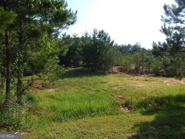 120 Bruce Road Martin, GA 30557 - Photo 8 of 13
