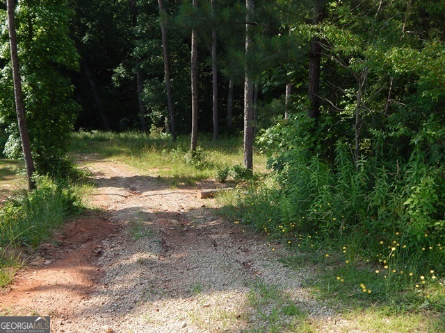120 Bruce Road Martin, GA 30557 - Photo 9 of 13