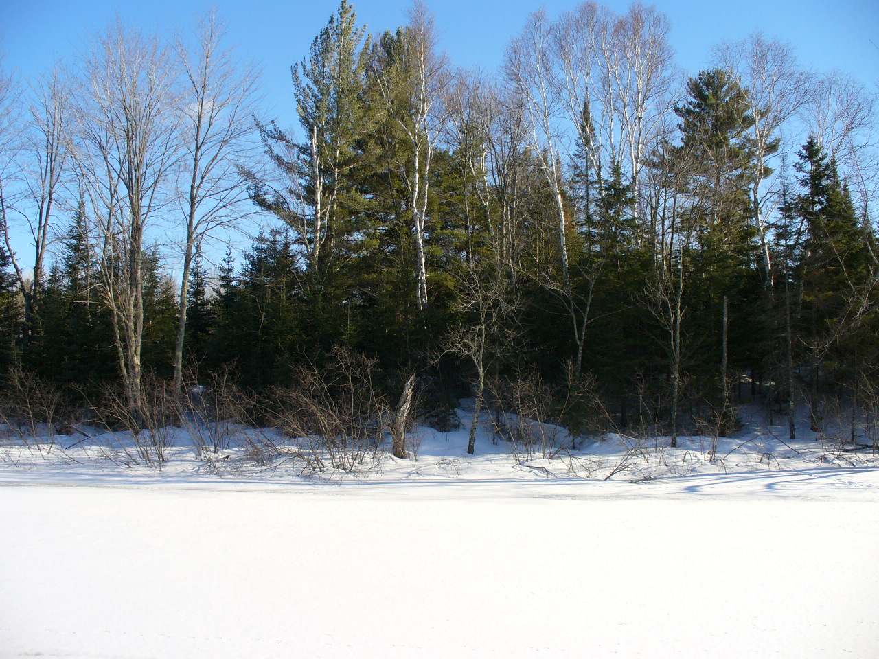 Lot14 Pelican Ranch Road Rhinelander, WI 54501 - Photo 14 of 16 Gallery Image 14