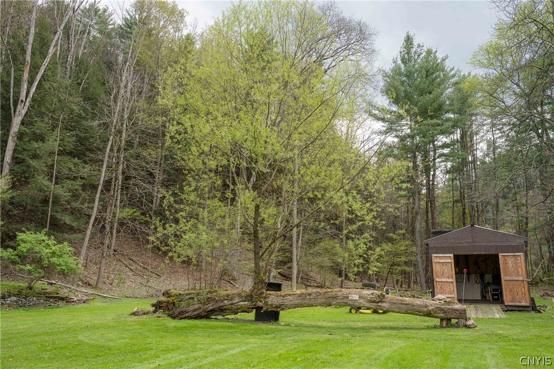 6140 Cunningham Creek Road Canisteo, NY 14823 - Photo 32 of 50