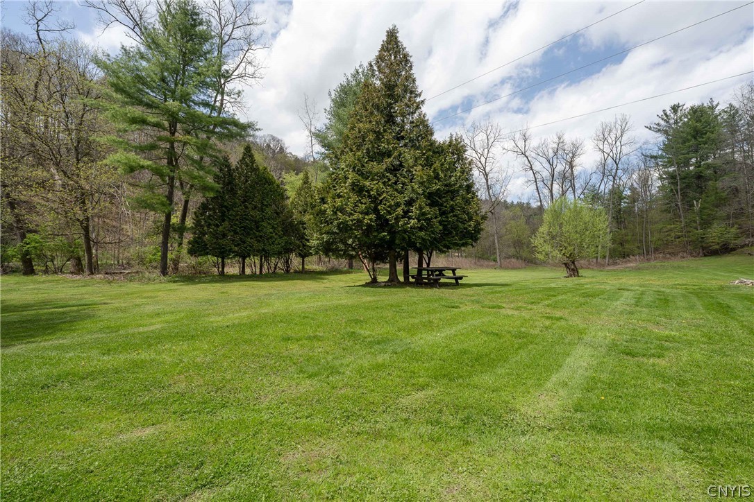 6140 Cunningham Creek Road Canisteo, NY 14823 - Photo 35 of 50