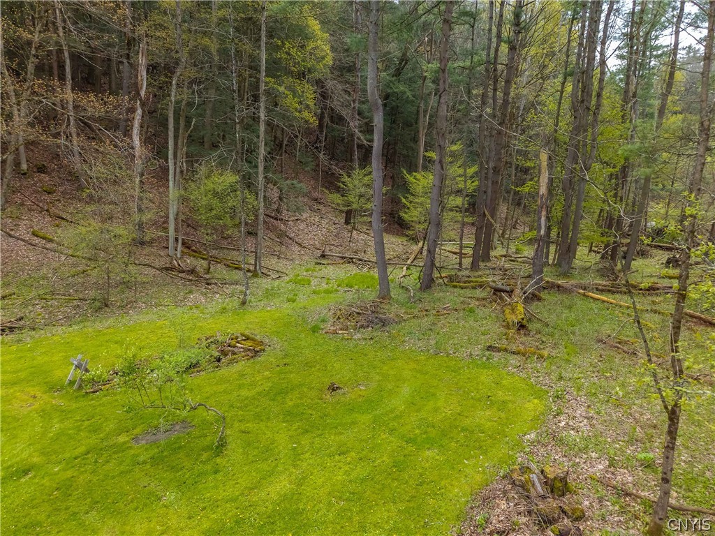 6140 Cunningham Creek Road Canisteo, NY 14823 - Photo 41 of 50