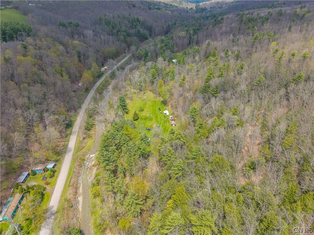 6140 Cunningham Creek Road Canisteo, NY 14823 - Photo 48 of 50