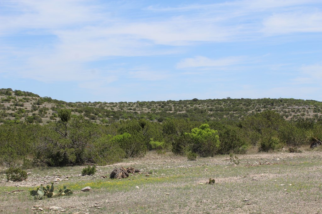 0 Ranch Road Sonora, TX 76950 - Photo 11 of 21