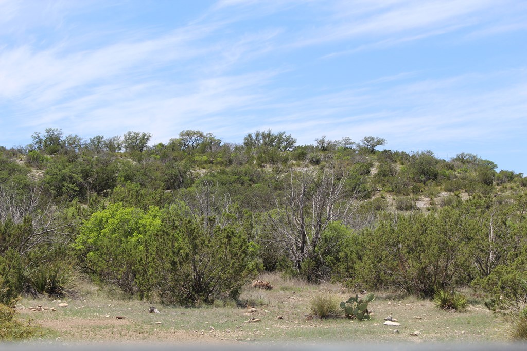 0 Ranch Road Sonora, TX 76950 - Photo 12 of 21