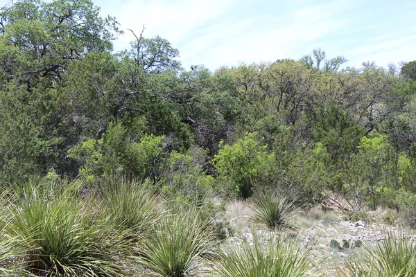 $570,183 | 0 Ranch Road, Sonora, TX 76950