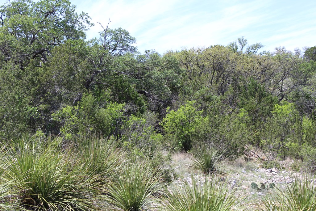 0 Ranch Road Sonora, TX 76950 - Photo 13 of 21