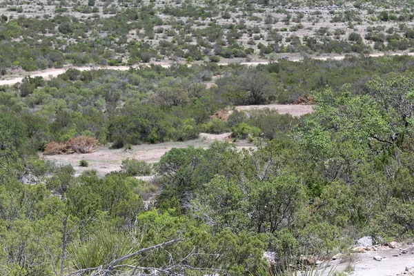 $570,183 | 0 Ranch Road, Sonora, TX 76950