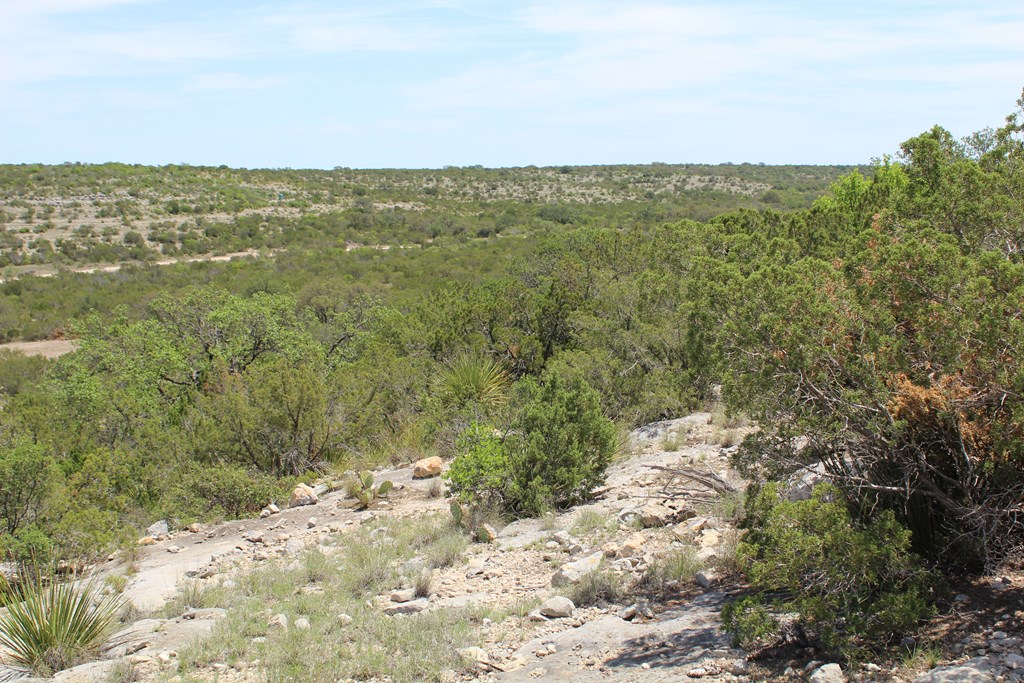 0 Ranch Road Sonora, TX 76950 - Photo 16 of 21