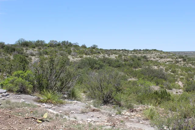 $570,183 | 0 Ranch Road, Sonora, TX 76950