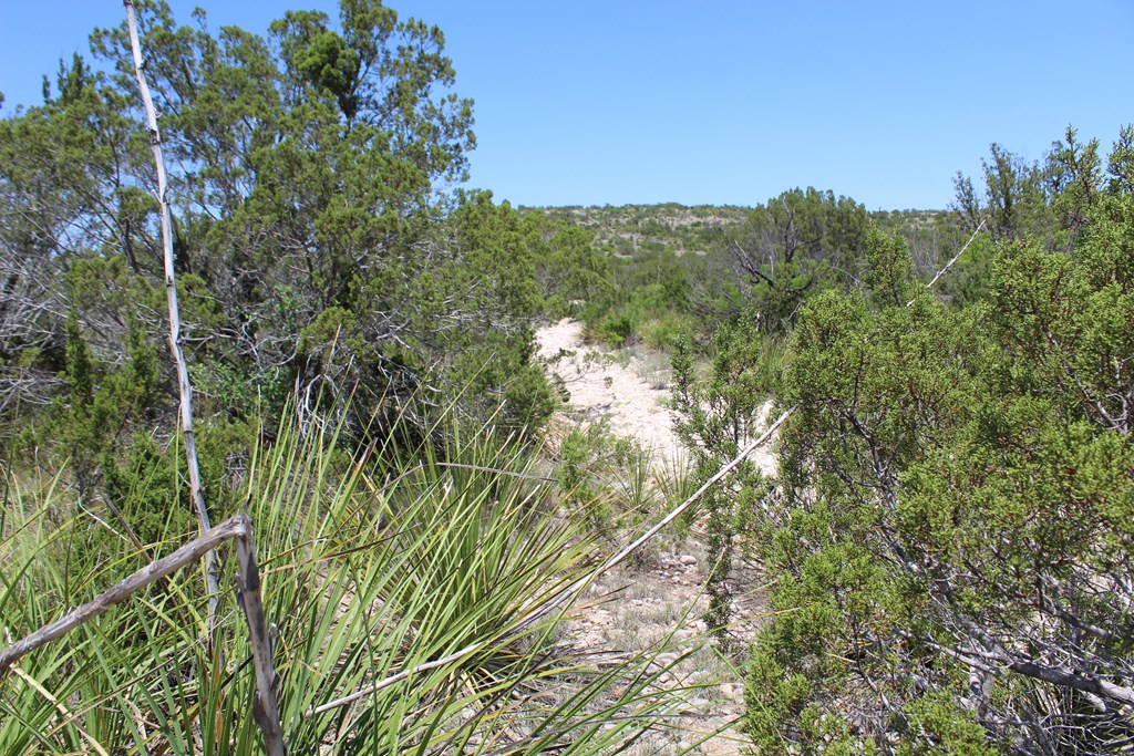 0 Ranch Road Sonora, TX 76950 - Photo 18 of 21