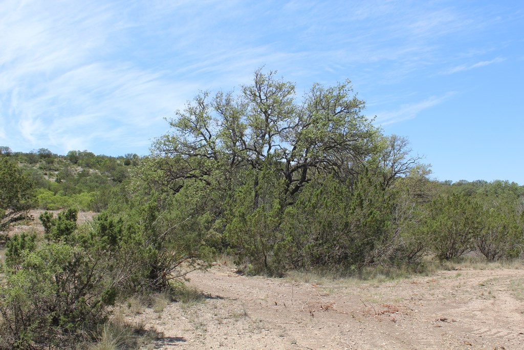 0 Ranch Road Sonora, TX 76950 - Photo 19 of 21