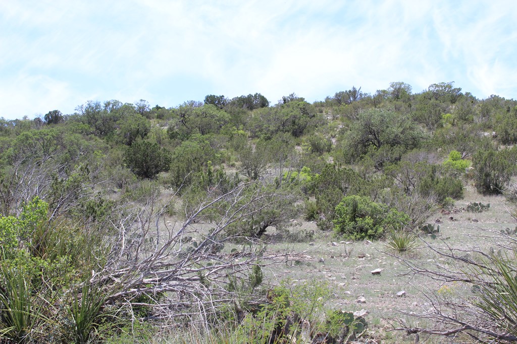 0 Ranch Road Sonora, TX 76950 - Photo 20 of 21