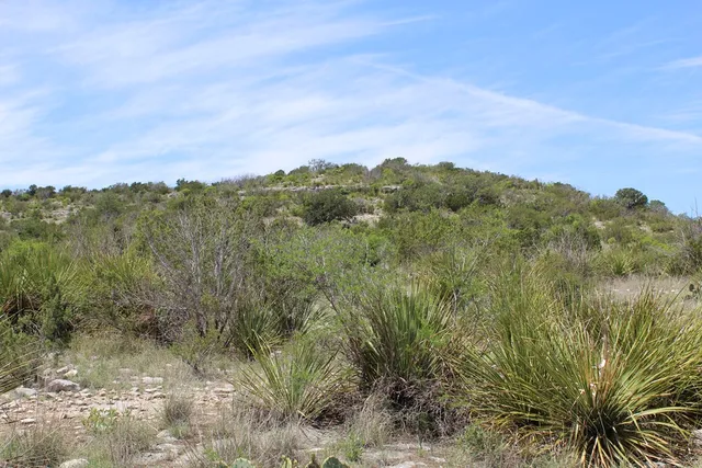 $570,183 | 0 Ranch Road, Sonora, TX 76950