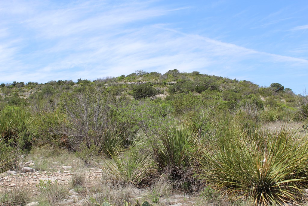 0 Ranch Road Sonora, TX 76950 - Photo 7 of 21