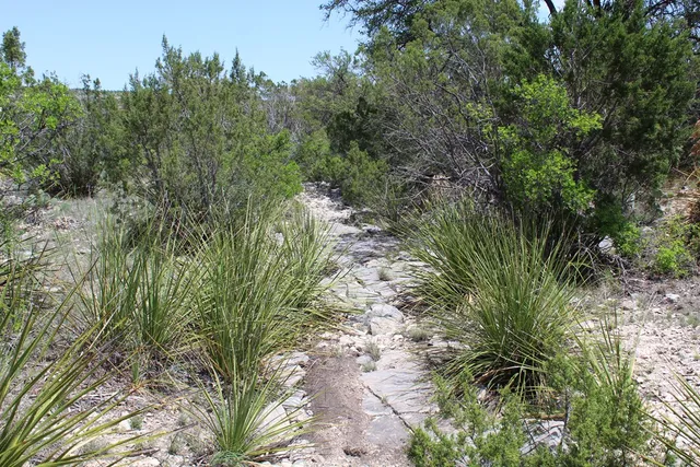 $570,183 | 0 Ranch Road, Sonora, TX 76950