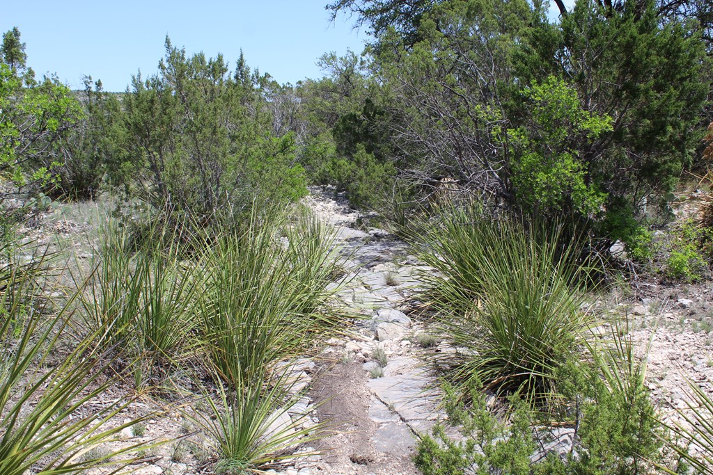 0 Ranch Road Sonora, TX 76950 - Photo 8 of 21