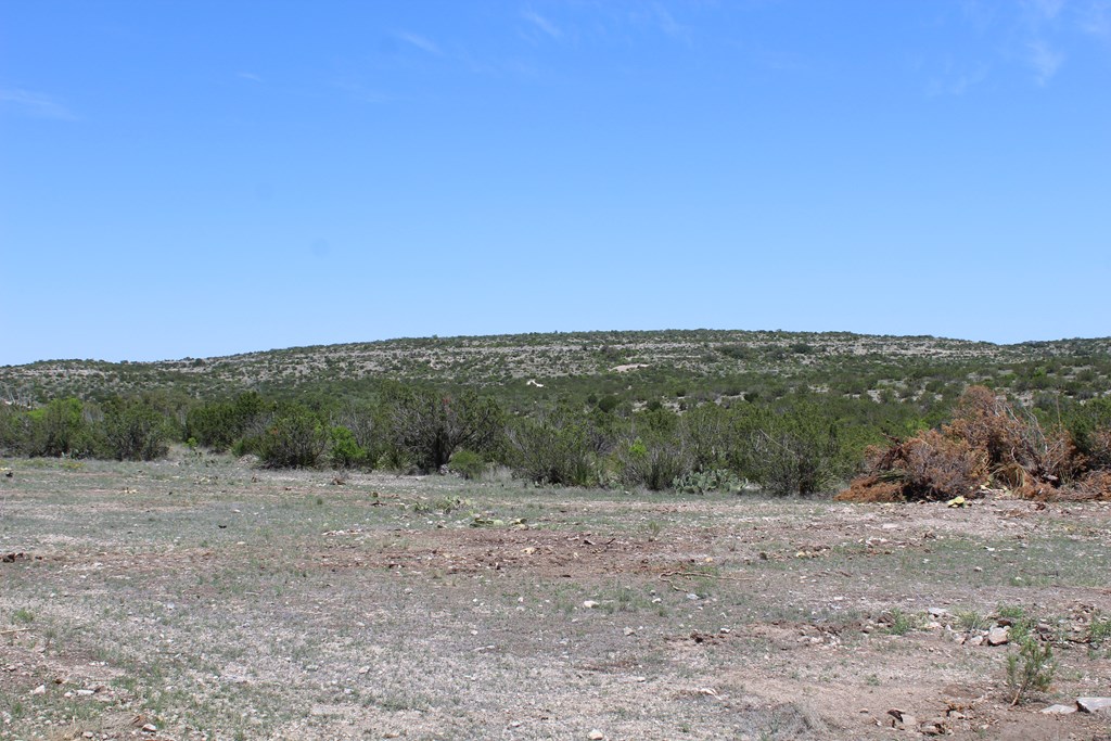 0 Ranch Road Sonora, TX 76950 - Photo 10 of 21