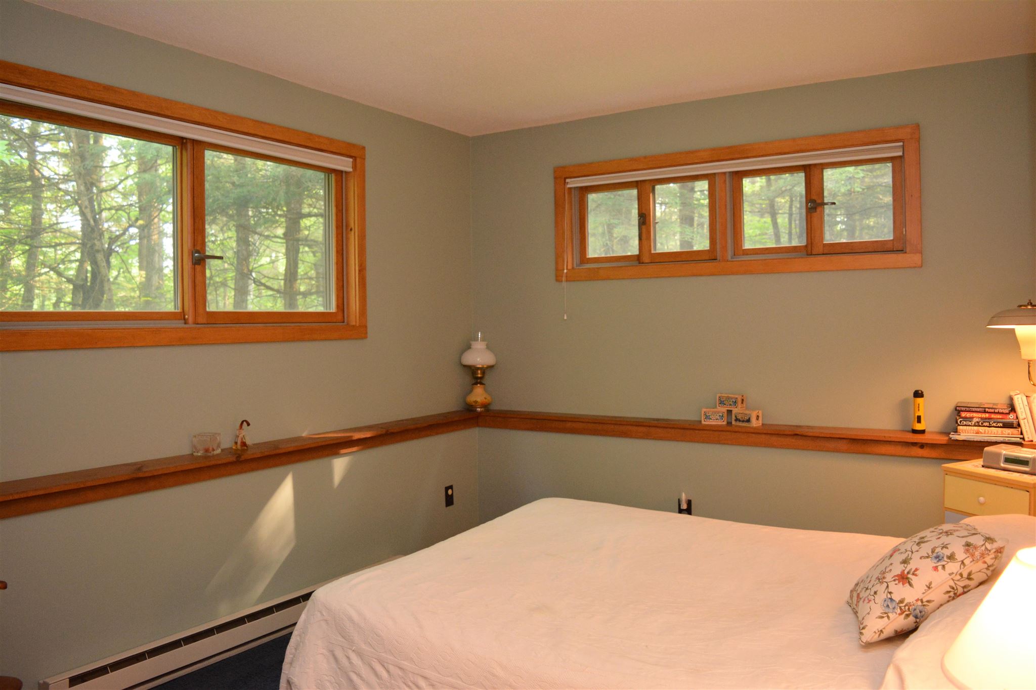 20 Whitetail Ridge Grantham, NH 03753 - Photo 25 of 35