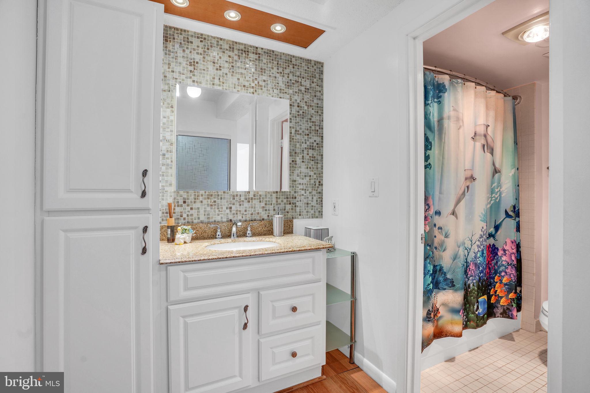 5501 Seminary Road, Unit 1908S Falls Church, VA 22041 - Photo 32 of 43 a bathroom with a sink and a mirror