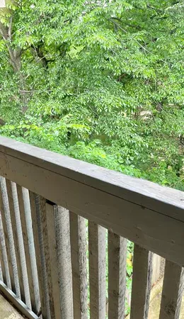 $1,300 | 4851 Cedar Springs Road, Unit 391, Dallas, TX 75219