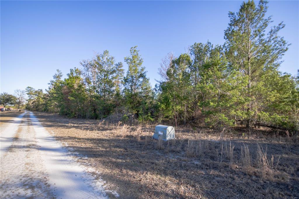 Southeast Rogers Sink Road Madison, FL 32340 - Photo 4 of 7 a view of a yard with an trees