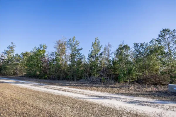 $160,000 | Southeast Rogers Sink Road, Madison, FL 32340