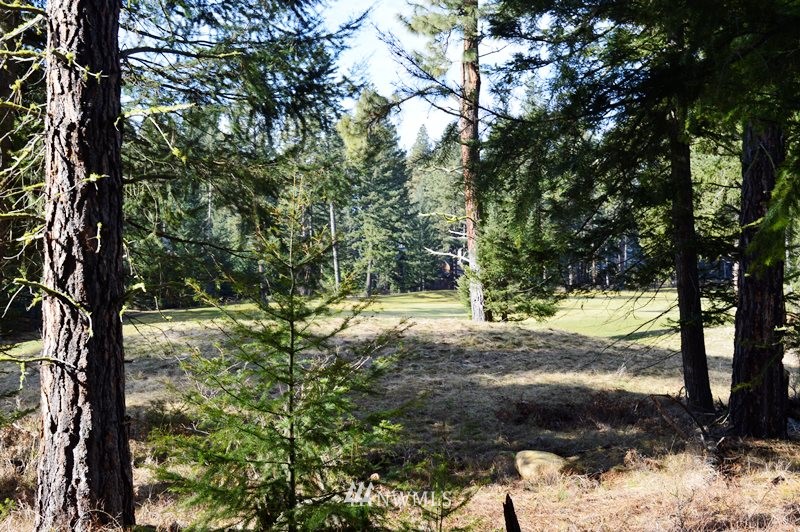 80 Rocking Chair Road Cle Elum, WA 98922 - Photo 2 of 8 Gallery Image 2