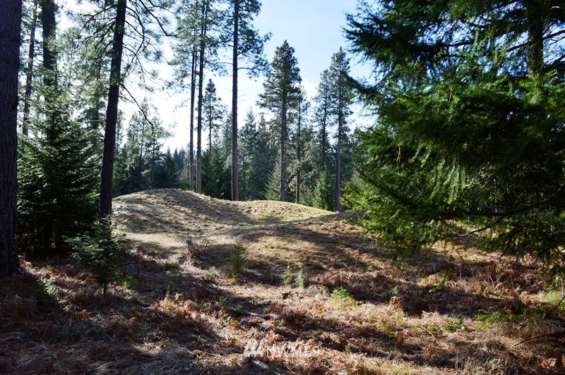 80 Rocking Chair Road Cle Elum, WA 98922 - Photo 3 of 8 Gallery Image 3