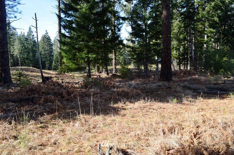 80 Rocking Chair Road Cle Elum, WA 98922 - Photo 8 of 8 Gallery Image 8