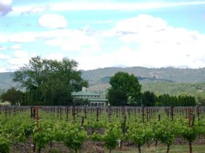 Galleron Road St. Helena, CA 94574 - Photo 10 of 12 a view of a back yard