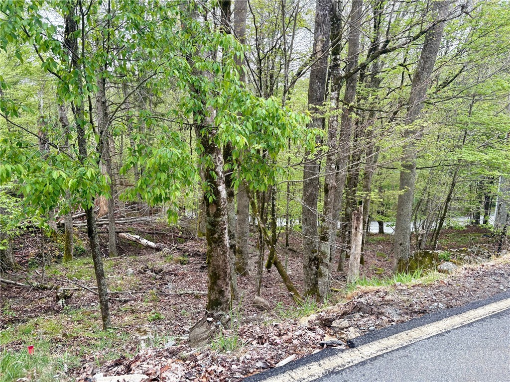 213 Lake Road Beech Mountain, NC 28604 - Photo 1 of 2