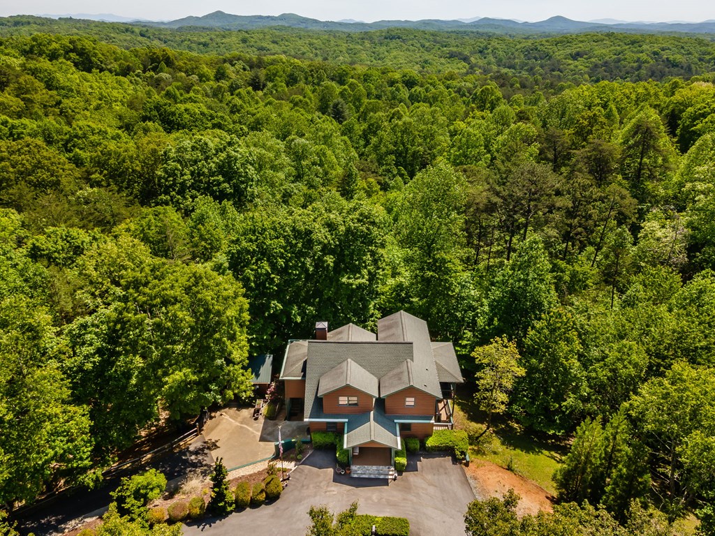 547 Echo Road Morganton, GA 30560 - Photo 6 of 54