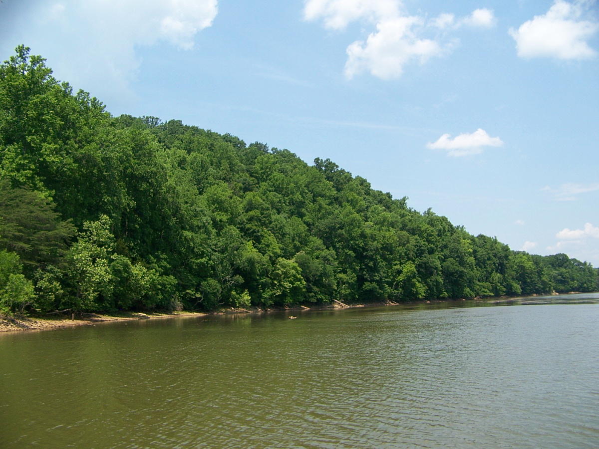 Lot 5 Drawbridge Road Pittsville, VA 24139 - Photo 6 of 13 NATURAL LVL SHORELINE