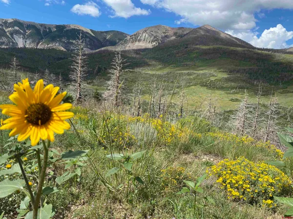 $1,625,000 | 1833 Yellowstone Creek Road, Walsenburg, CO 81089