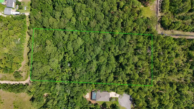 a view of a house with a tree