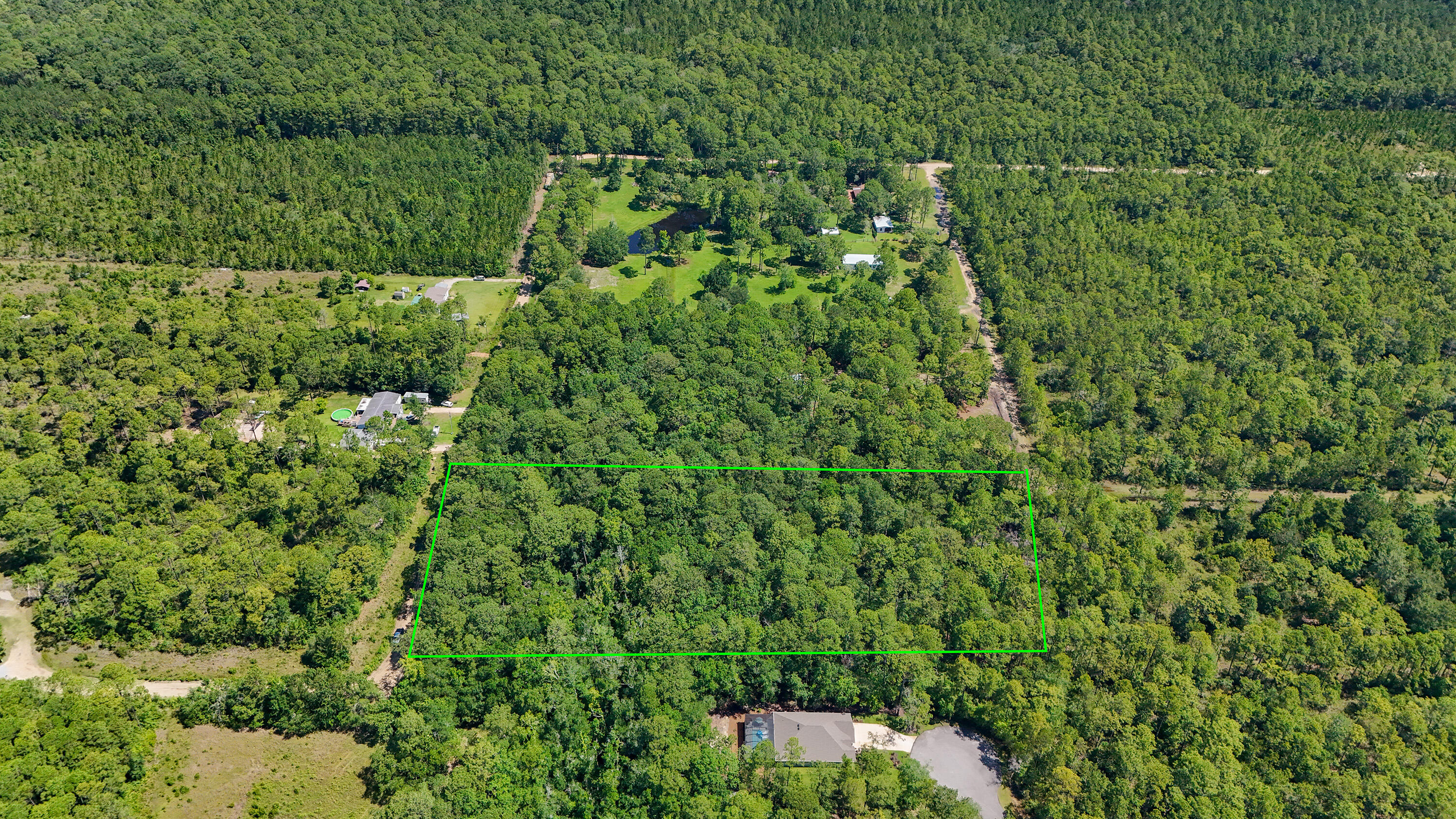 4.66-acres Watson Road Freeport, FL 32439 - Photo 5 of 8 a view of a lush green forest