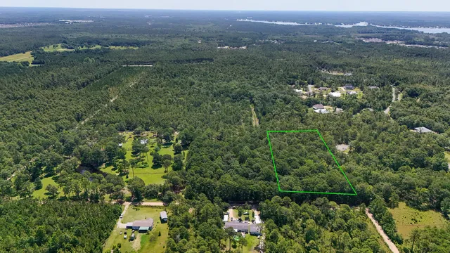 a view of an outdoor space with a tree