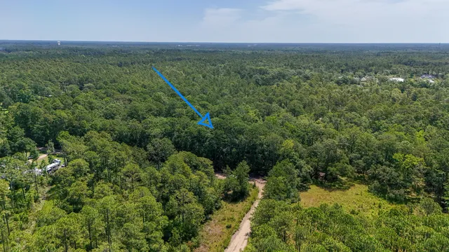 $205,000 | 4.66-acres Watson Road, Freeport, FL 32439