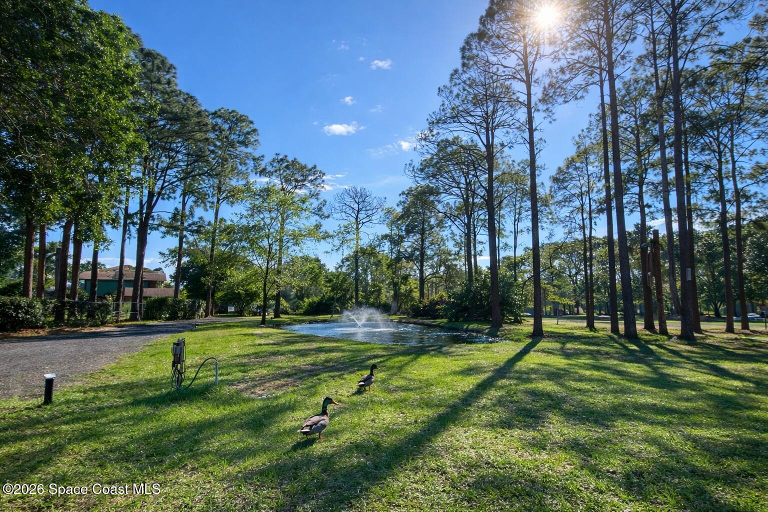 1527 Willard Road Northwest Palm Bay, FL 32907 - Photo 2 of 4 Front Yard + Pond