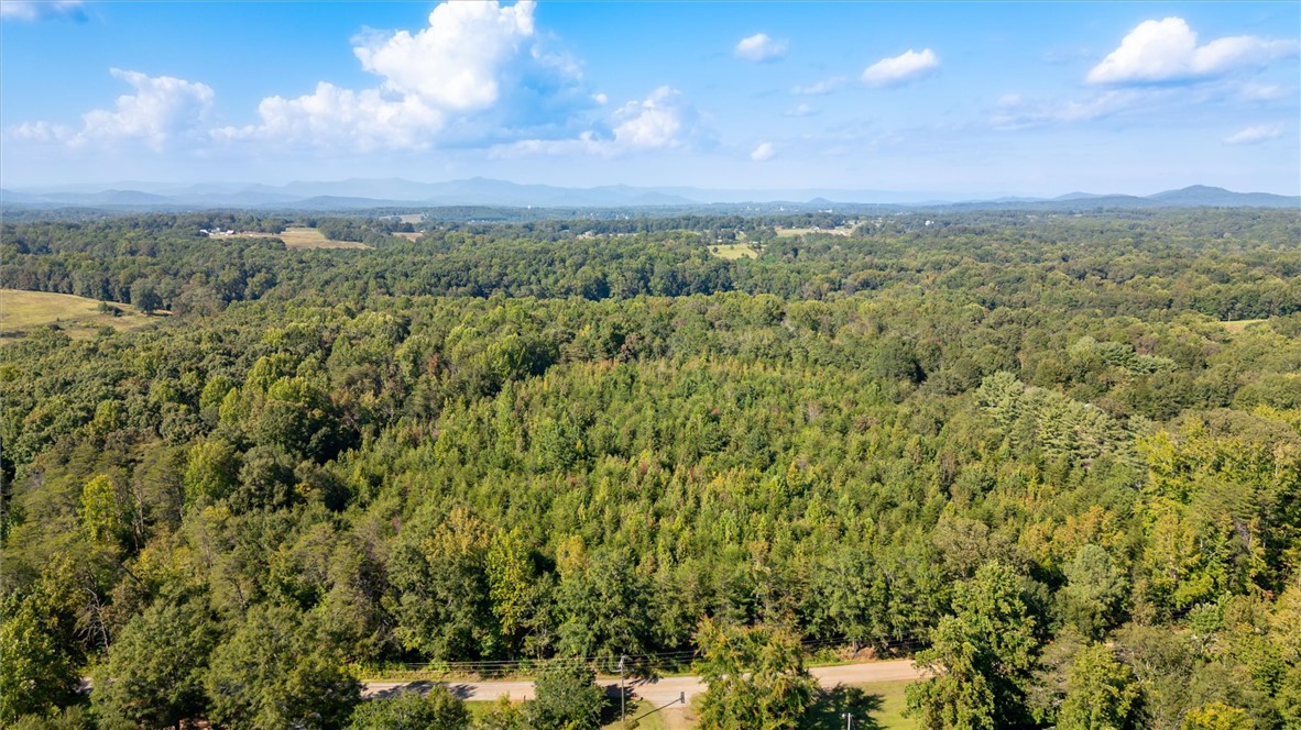 0 Odell Road Liberty, SC 29657 - Photo 12 of 12