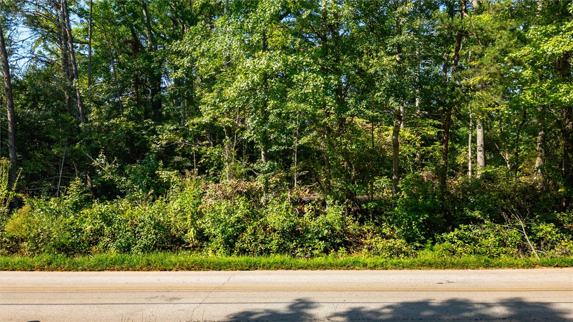 0 Odell Road Liberty, SC 29657 - Photo 3 of 12