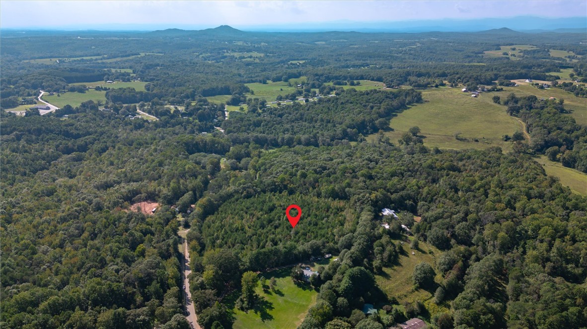 0 Odell Road Liberty, SC 29657 - Photo 4 of 12